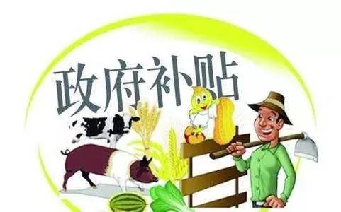 好會(huì)計(jì)：政府補(bǔ)助